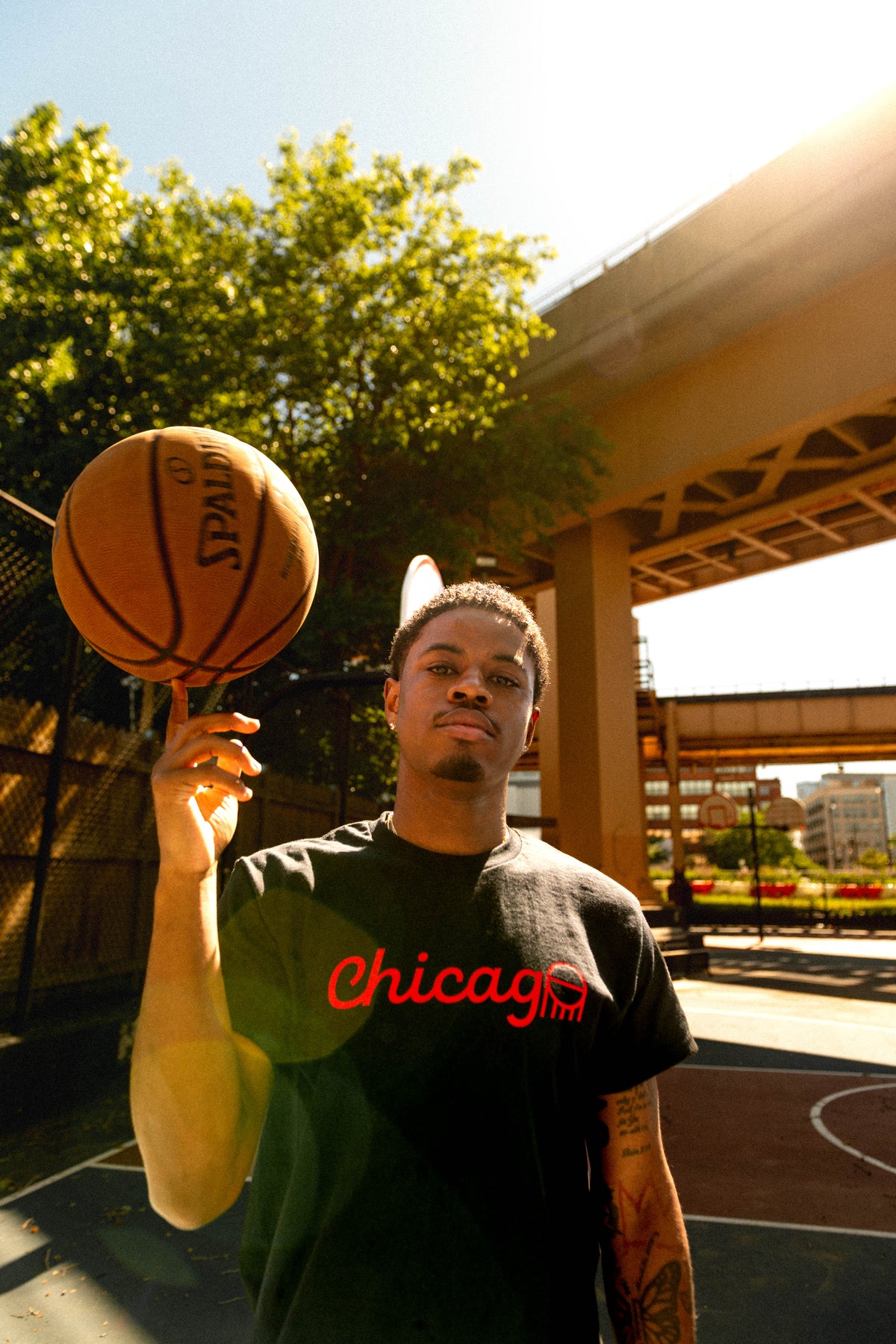 Chicago Court Collection